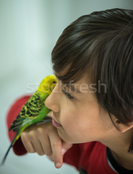 Kid playing with his pet parrot Stock photo © zurijeta