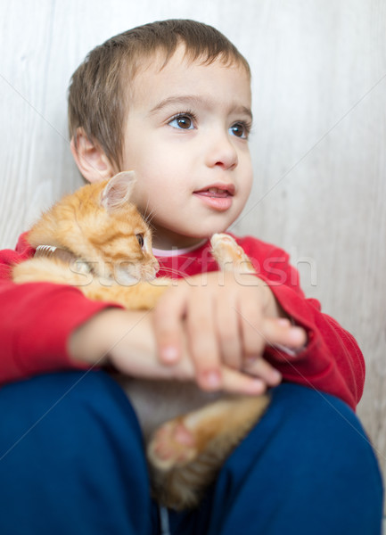 Boldog kicsi gyerek tart citromsárga cica Stock fotó © zurijeta
