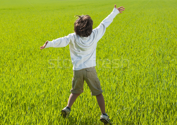 [[stock_photo]]: Heureux · Kid · belle · vert · jaune · champ · d'herbe