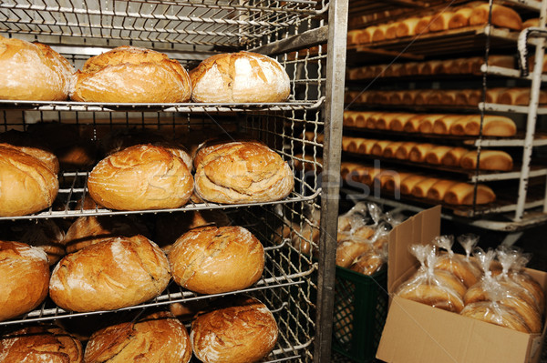 Bread making in factory Stock photo © zurijeta