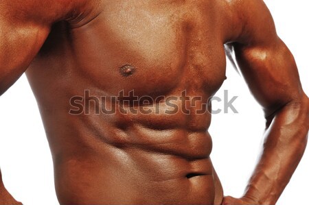 Torso of muscular young man isolated on white Stock photo © zurijeta