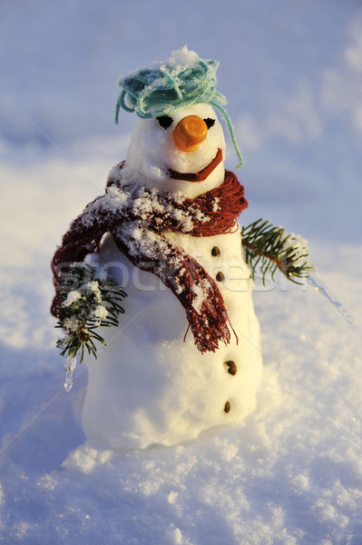 Snowman for winter christmas Stock photo © zurijeta