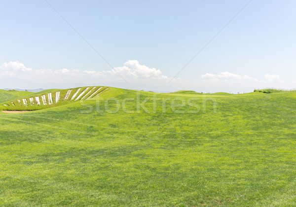 Perfetto erba prato campo da golf campo sorriso Foto d'archivio © zurijeta