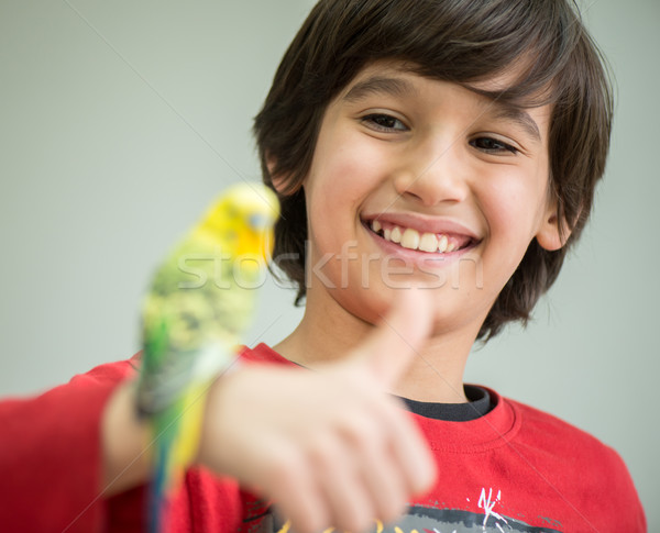 Kid playing with his pet parrot Stock photo © zurijeta