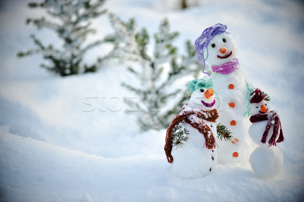 Snowman for winter christmas Stock photo © zurijeta