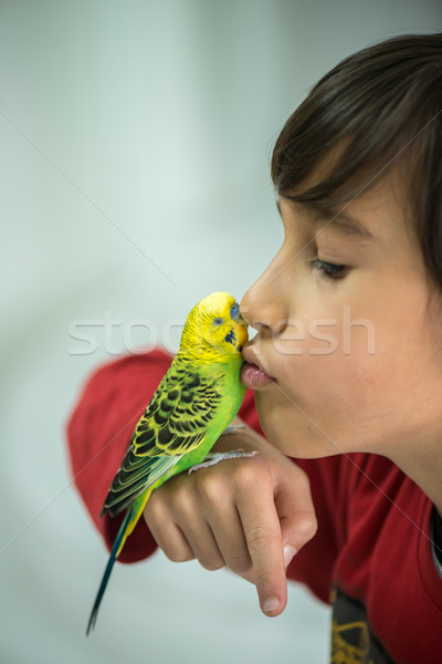Kid playing with his pet parrot Stock photo © zurijeta