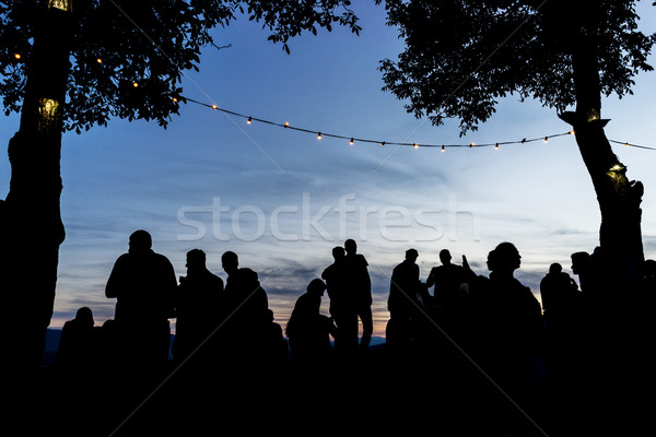 Menigte mensen samen outdoor wachten zonsondergang Stockfoto © zurijeta