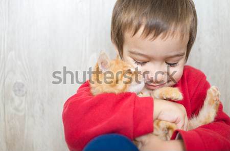 Glücklich wenig kid halten gelb Kitty Stock foto © zurijeta
