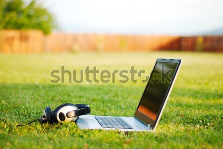 Portátil auricular verde pradera primavera Internet Foto stock © zurijeta