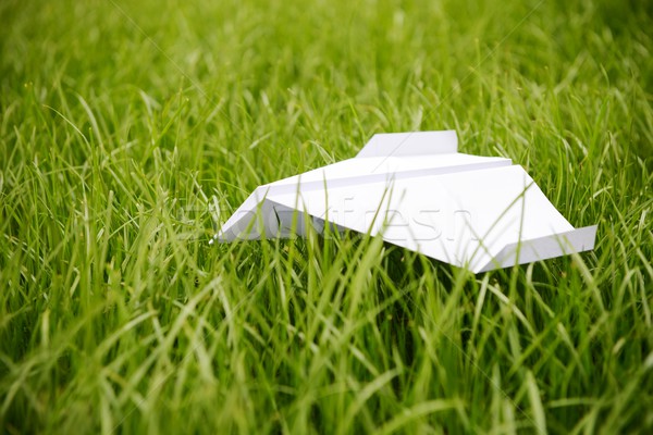 Flying paper airplane in grass Stock photo © zurijeta