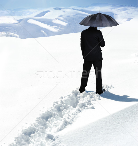 Walking in snow Stock photo © zurijeta