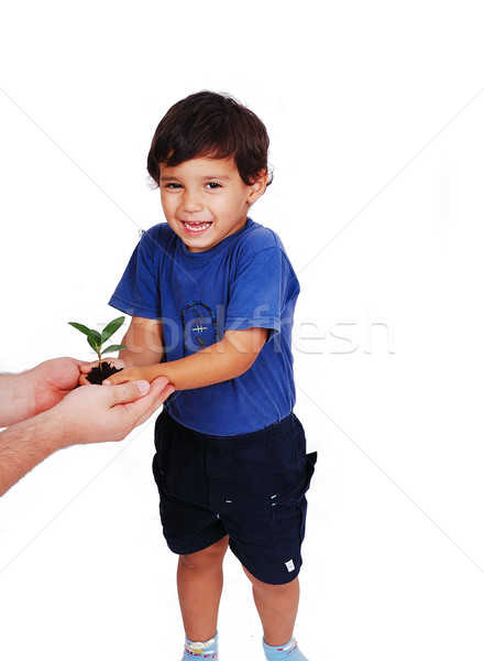 Little cute child holding green plant in hands Stock photo © zurijeta