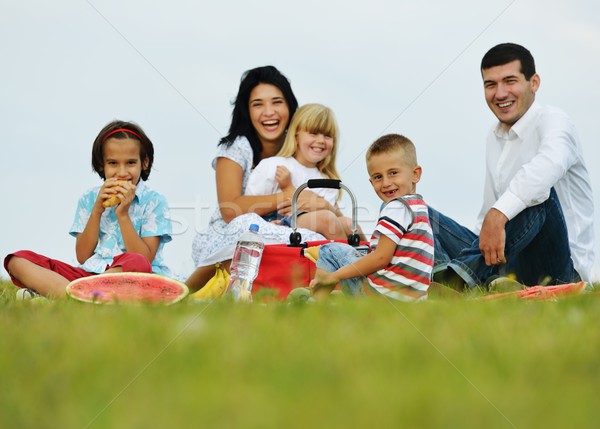 Rodziny dzieci piknik czasu zielone łące Zdjęcia stock © zurijeta