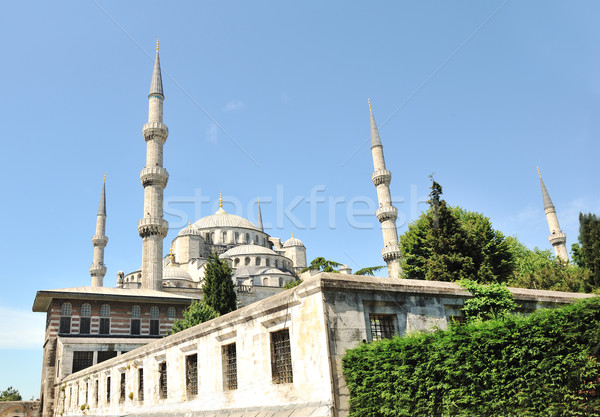 Istanbul città corpo urbana culto Europa Foto d'archivio © zurijeta