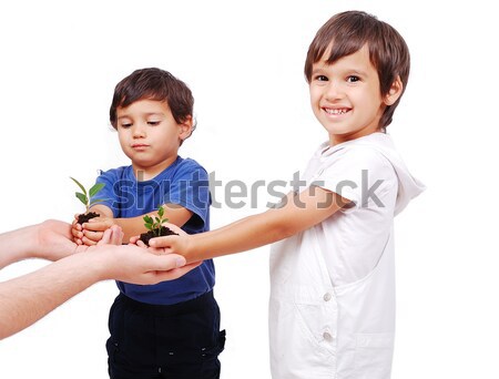 Little cute children holding green plant in hands Stock photo © zurijeta