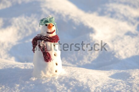 ストックフォト: 雪だるま · 冬 · クリスマス · 口 · ボール · カード