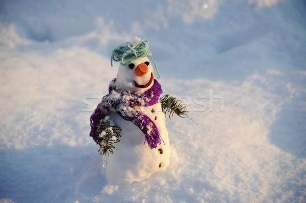 Muñeco de nieve invierno Navidad espacio blanco zanahoria Foto stock © zurijeta