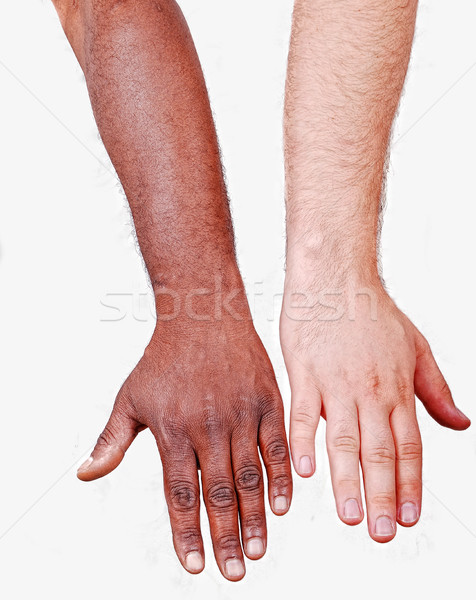 Comparable white hand and another black Stock photo © zurijeta