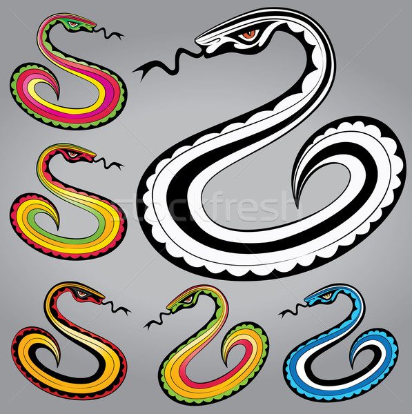 Stock fotó: Kígyó · test · sziluett · terv · illusztráció · bőr