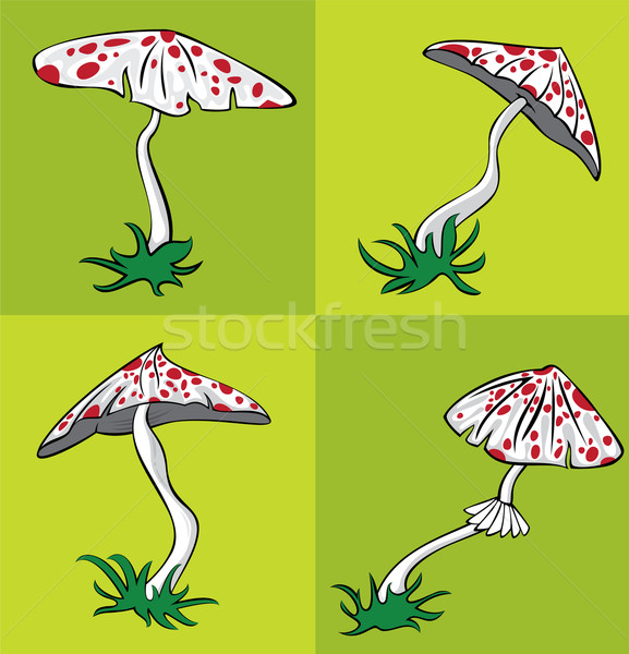 poisonous amanita mushroom with red dots vector illustration Stock photo © Zuzuan