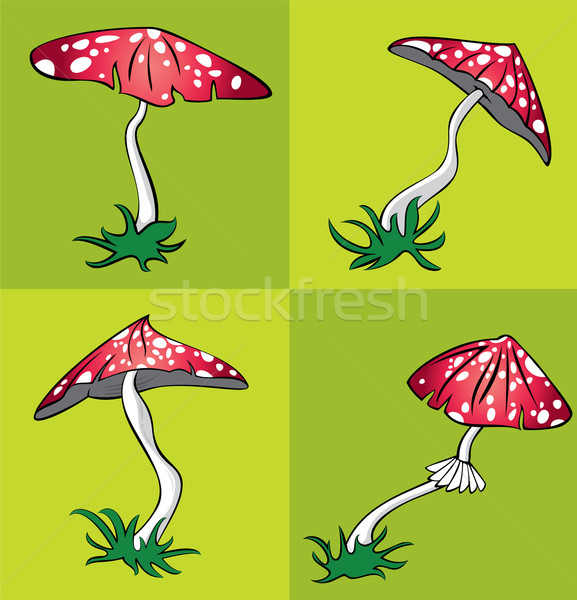 poisonous amanita mushroom with white dots vector illustration Stock photo © Zuzuan