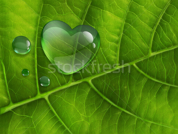 Rugiada gocce foglia verde primo piano acqua forma Foto d'archivio © zven0