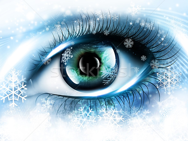 winter eye Stock photo © zven0