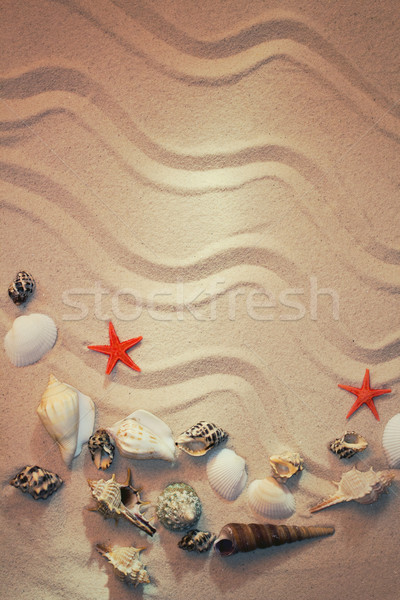 Yaz deniz kum kabukları doku doğa Stok fotoğraf © zven0