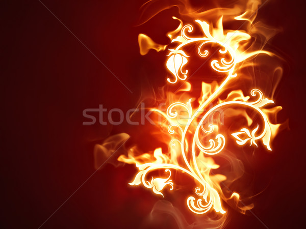 Foc floare luminos flori întuneric roşu Imagine de stoc © zven0