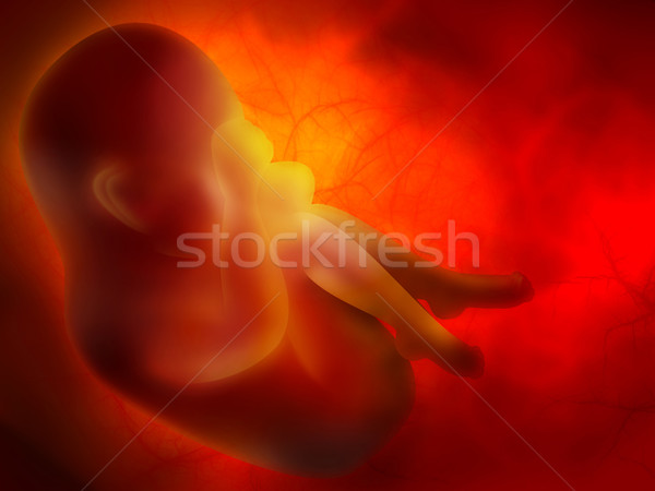 Embrion muzyka streszczenie ciało życia profil Zdjęcia stock © zven0