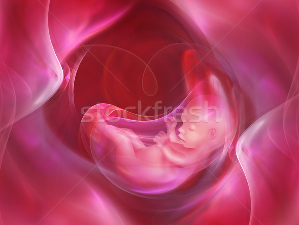 Embrione medicina abstract medici corpo silhouette Foto d'archivio © zven0
