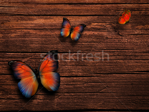 natural background Stock photo © zven0