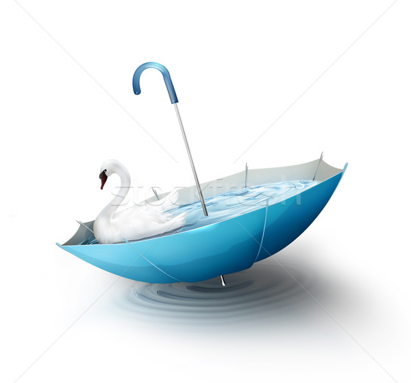 Biały łabędź parasol wody streszczenie lata Zdjęcia stock © zven0