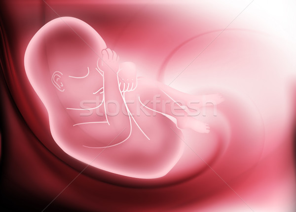 Embrion elegancki streszczenie medycznych ciało kolor Zdjęcia stock © zven0