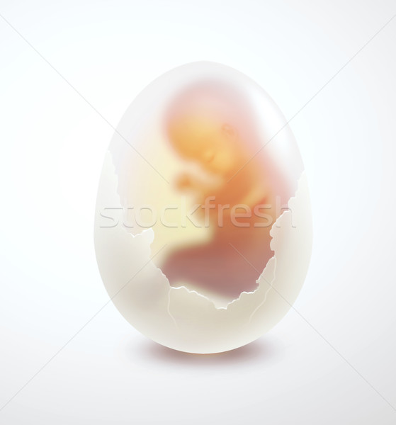 Embryo ei menselijke licht baby technologie Stockfoto © zven0