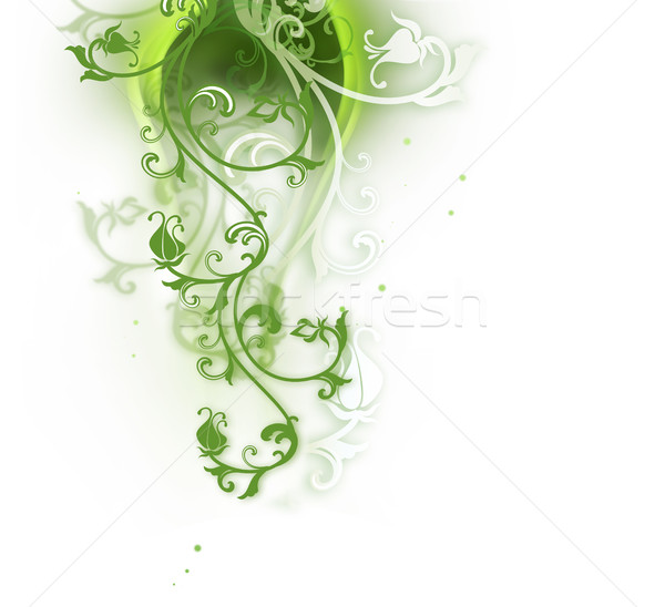 Natural abstract background  Stock photo © zven0