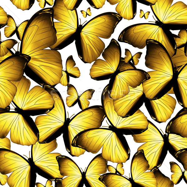 Motyle jasne żółty wiosną charakter czarny Zdjęcia stock © zven0