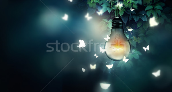 Pływające świetle żarówki motyle Motyl projektu Zdjęcia stock © zven0