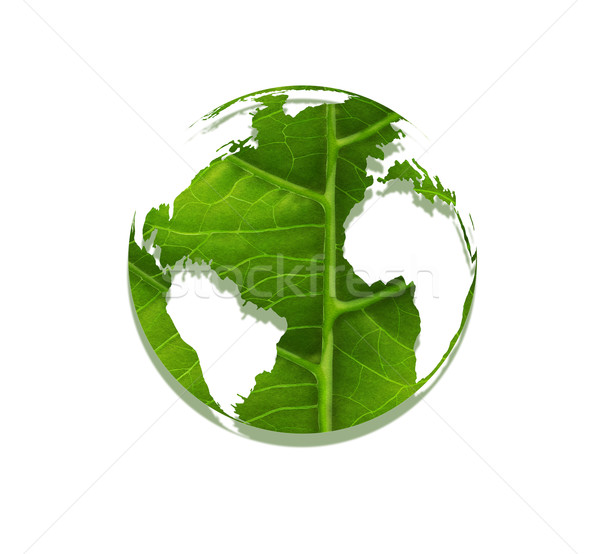 Foto stock: Ambiental · mundo · hoja · mapa · naturaleza · diseno