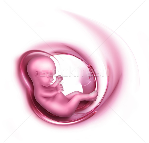 Embrión rosa salud fondo medicina azul Foto stock © zven0
