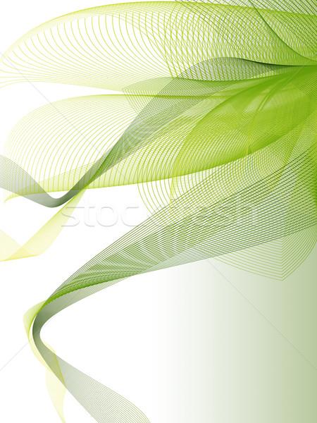 Résumé nature art design herbe feuille [[stock_photo]] © zven0