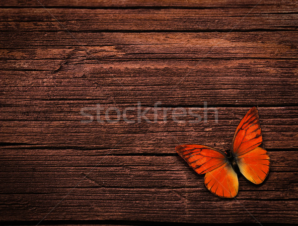 natural background Stock photo © zven0